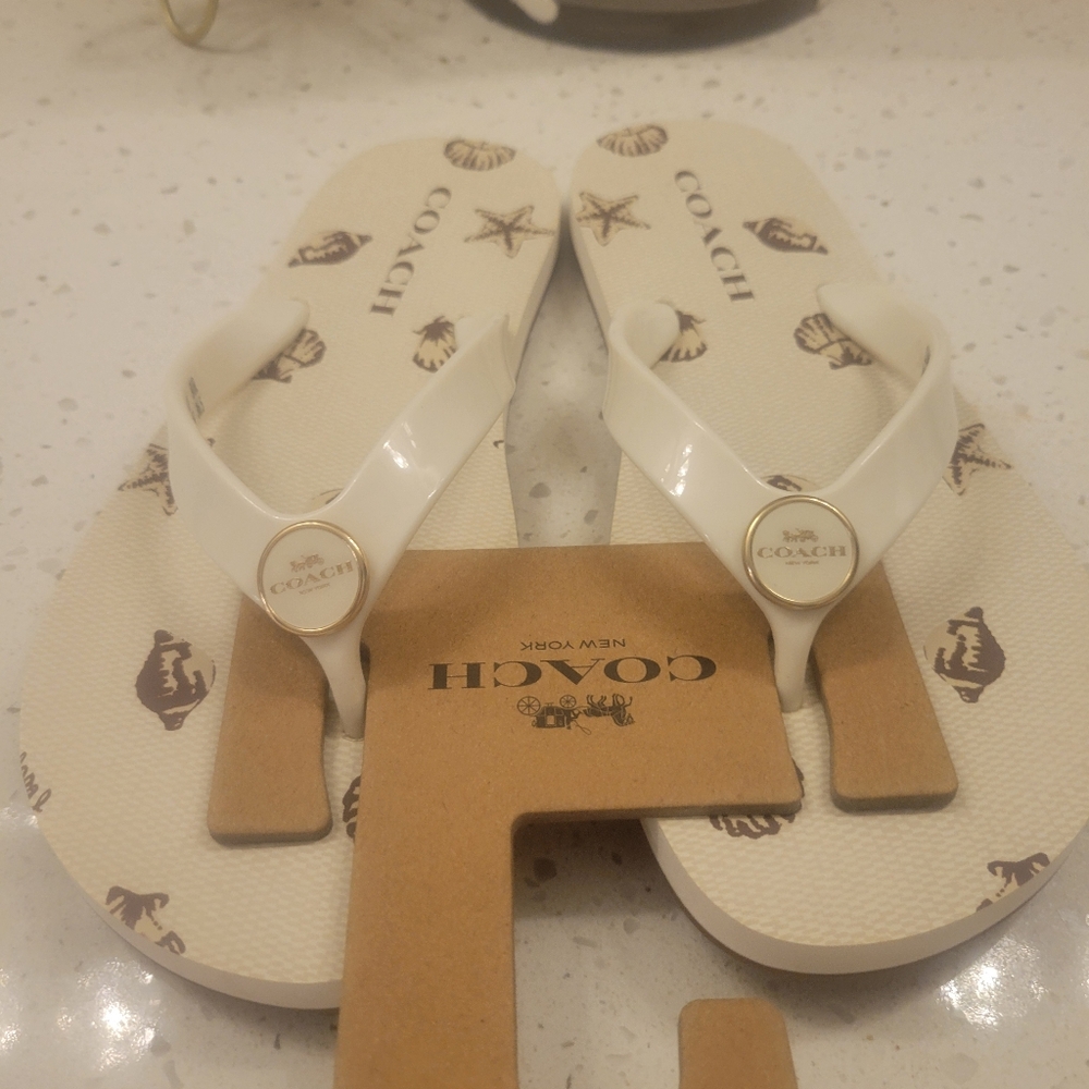 Coach Seashell Flip Flops